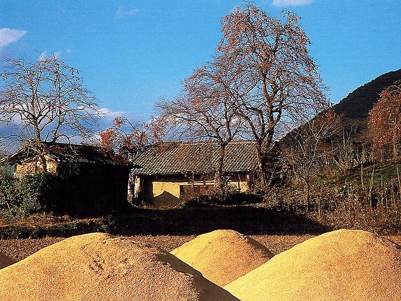 ホテルMisato 安曇野市 エクステリア 写真